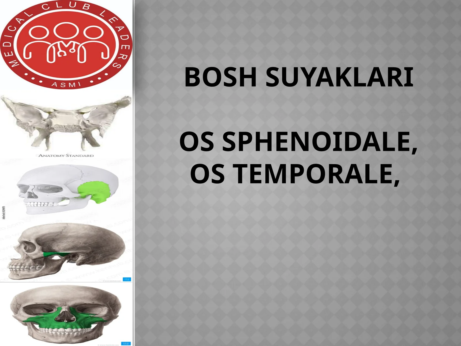 Boshsuyaklari ossphenoidale, os temporale