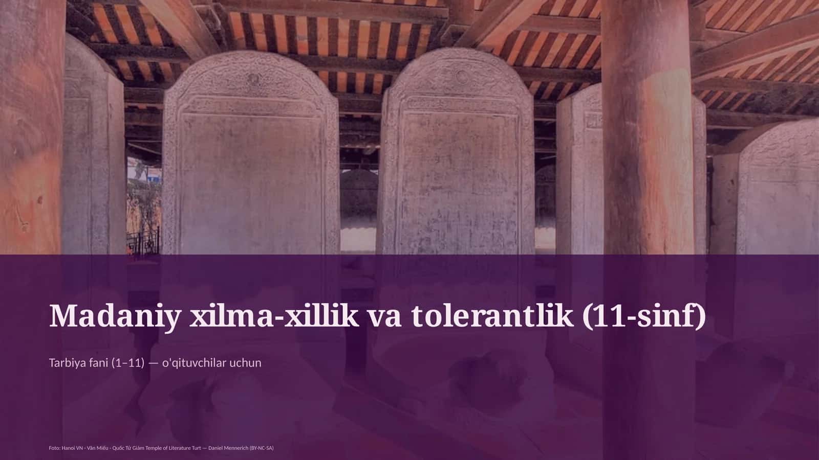 Madaniy xilma-xillik va tolerantlik (11-sinf)