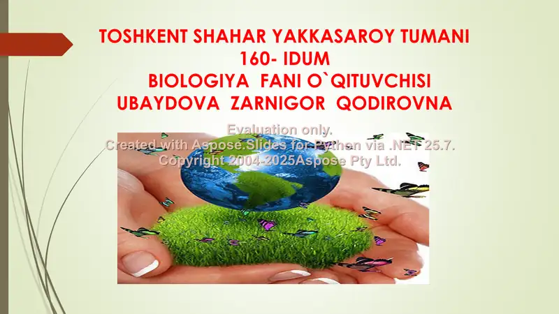 Odamning Ovqat Hazm Qilish Sistemasi
