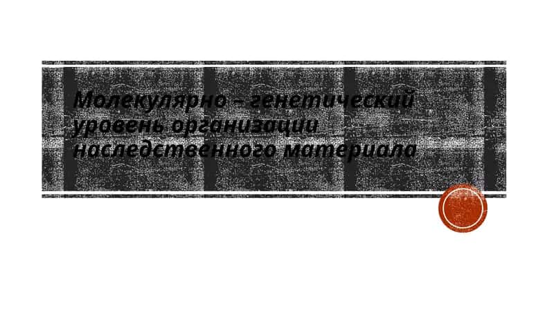 Организация наследственного материала