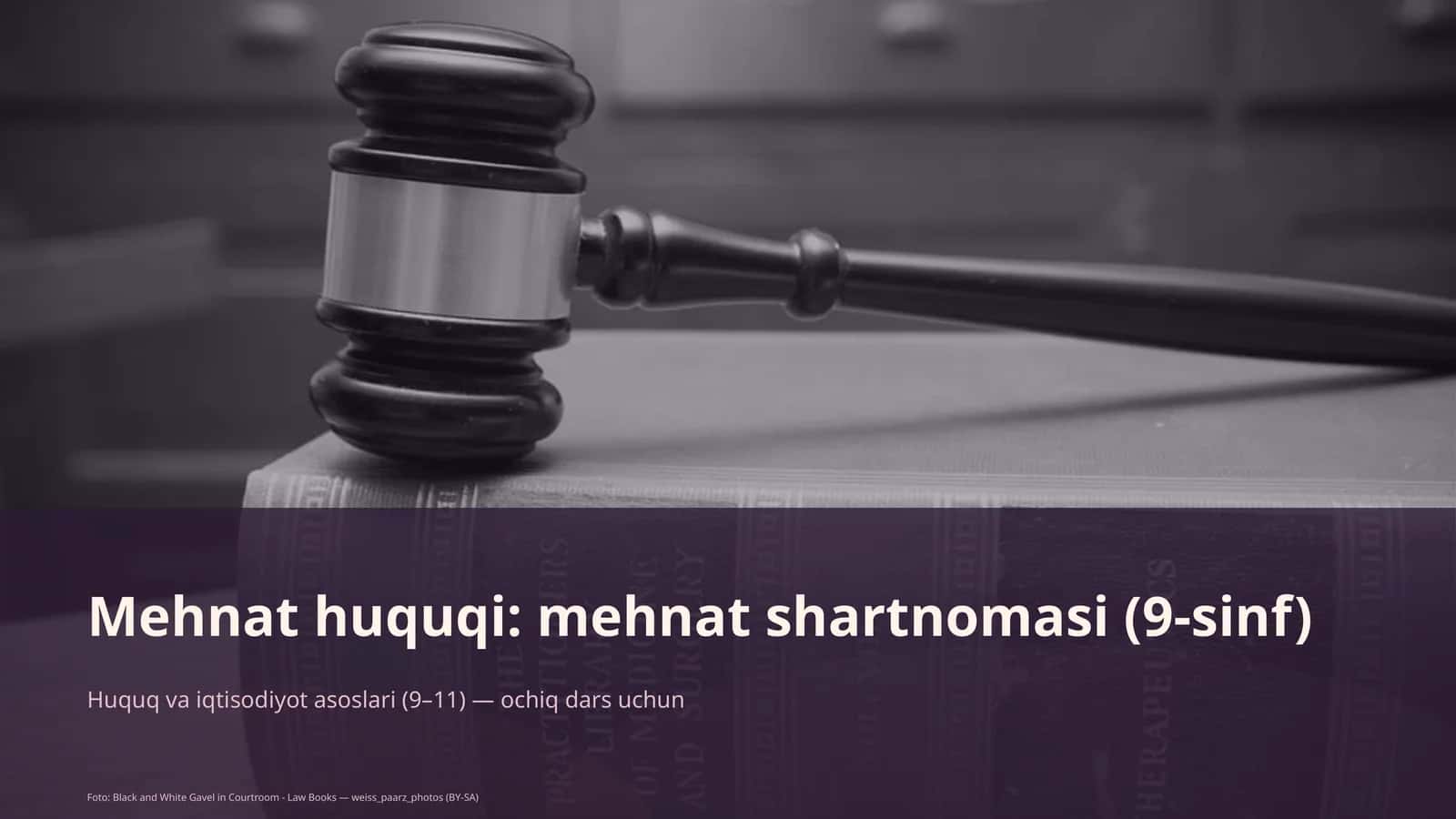 Mehnat huquqi: mehnat shartnomasi (9-sinf)