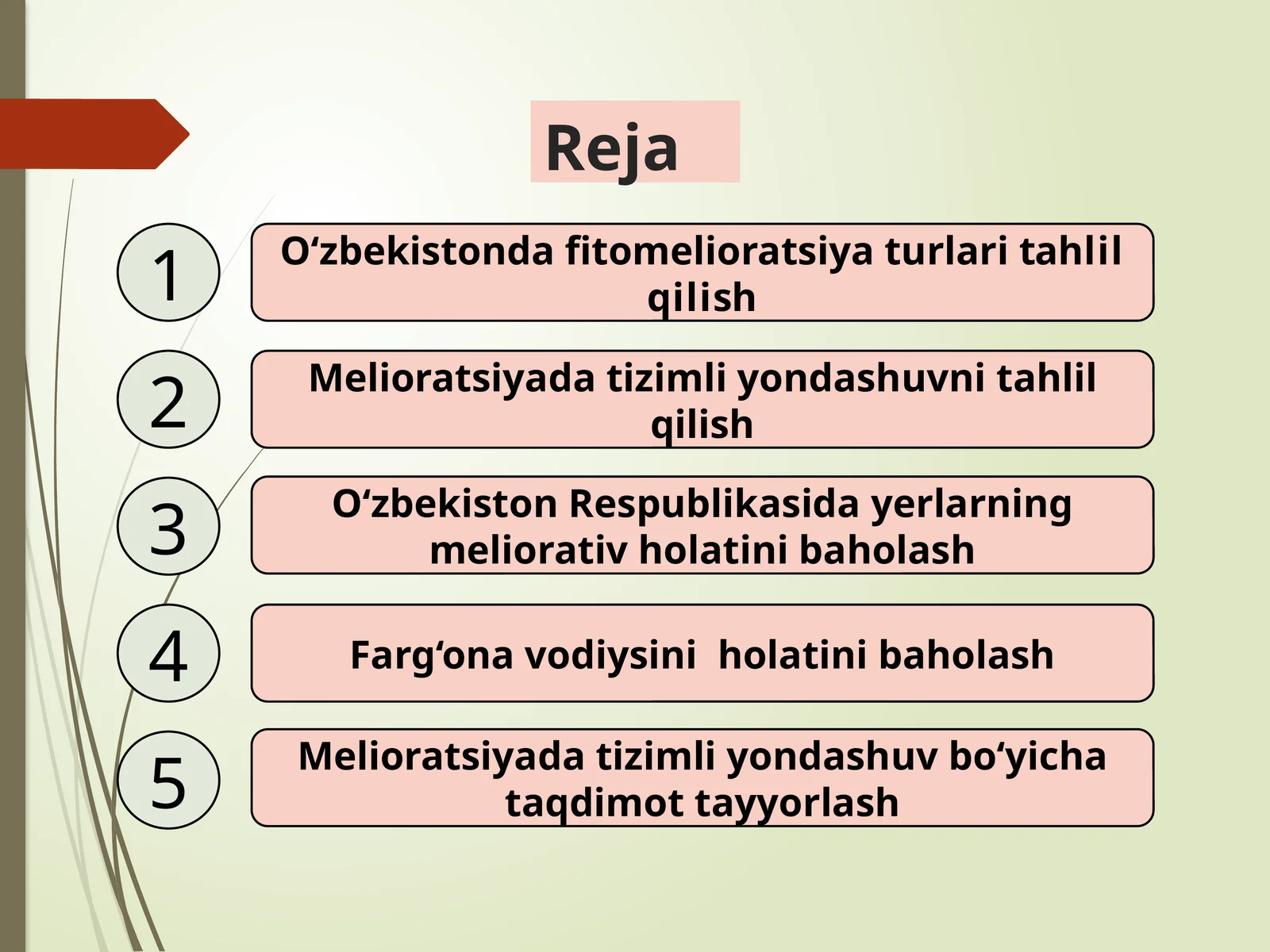 O‘zbekistonda fitomelioratsiya turlari tahlil qilish