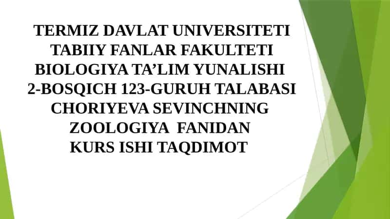 Zoologiya fanidan kurs ishi