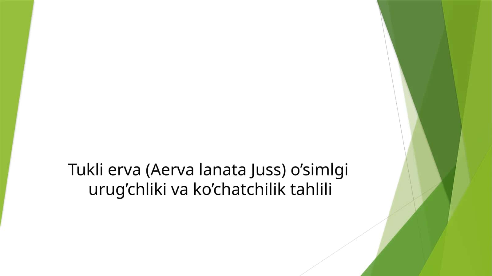 Tukli erva (Aervalanata Juss) o’simlgi urug’chligi va ko’chatchilik tahlili