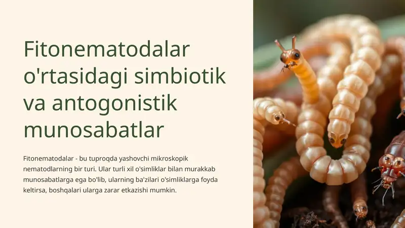 Fitonematodalar o'rtasidagi simbiotik va antogonistik munosabatlar
