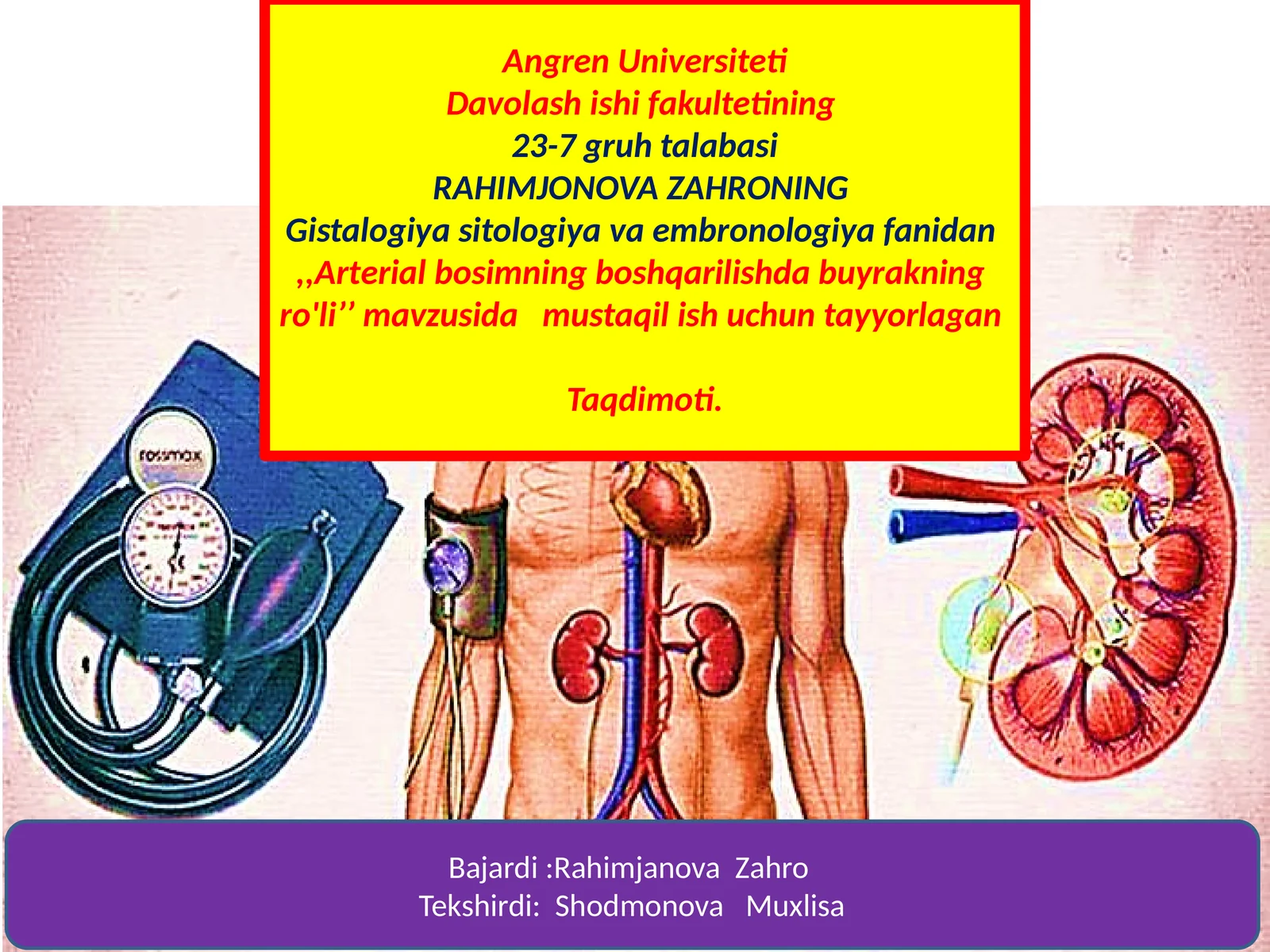 Gistalogiya, Sitologiya va Embriologiya fanidan Arterial bosimning boshqarilishda buyrakning ro'li