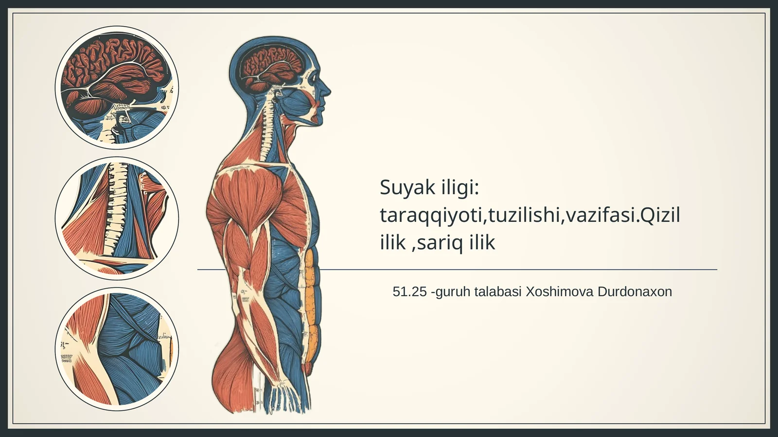 Suyak iligi tahlili