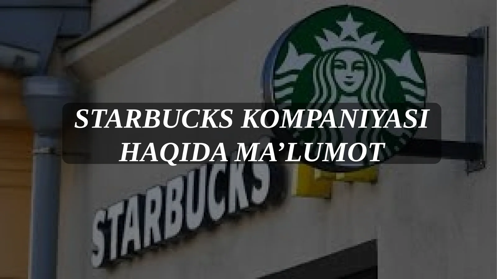 STARBUCKS KOMPANIYASI HAQIDA MA’LUMOT
