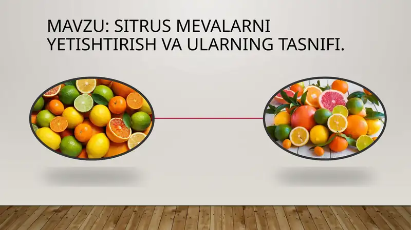 Sitrus mevalarni etishtirish vaularning tasnifi