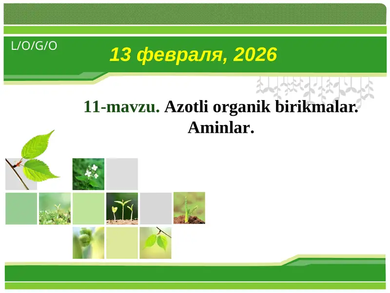 Аzоtli оrgаnik birikmаlаr. Аminlаr