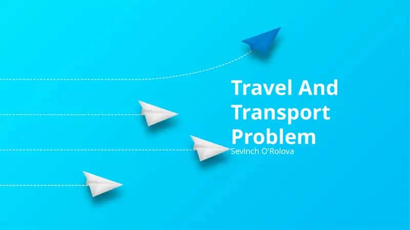 Seyahat va transport muammolari