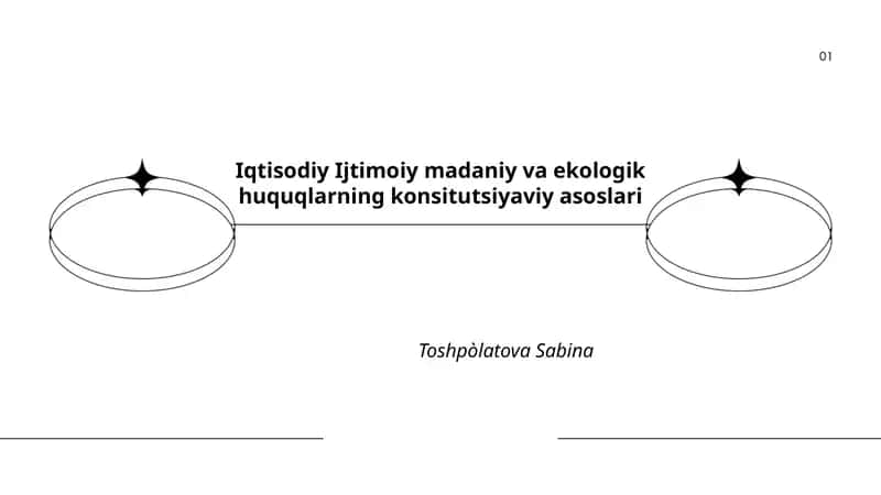 Iqtisodiy Ijtimoiy madaniy va ekologik huquqlarning konsitutsiyaviy asoslari