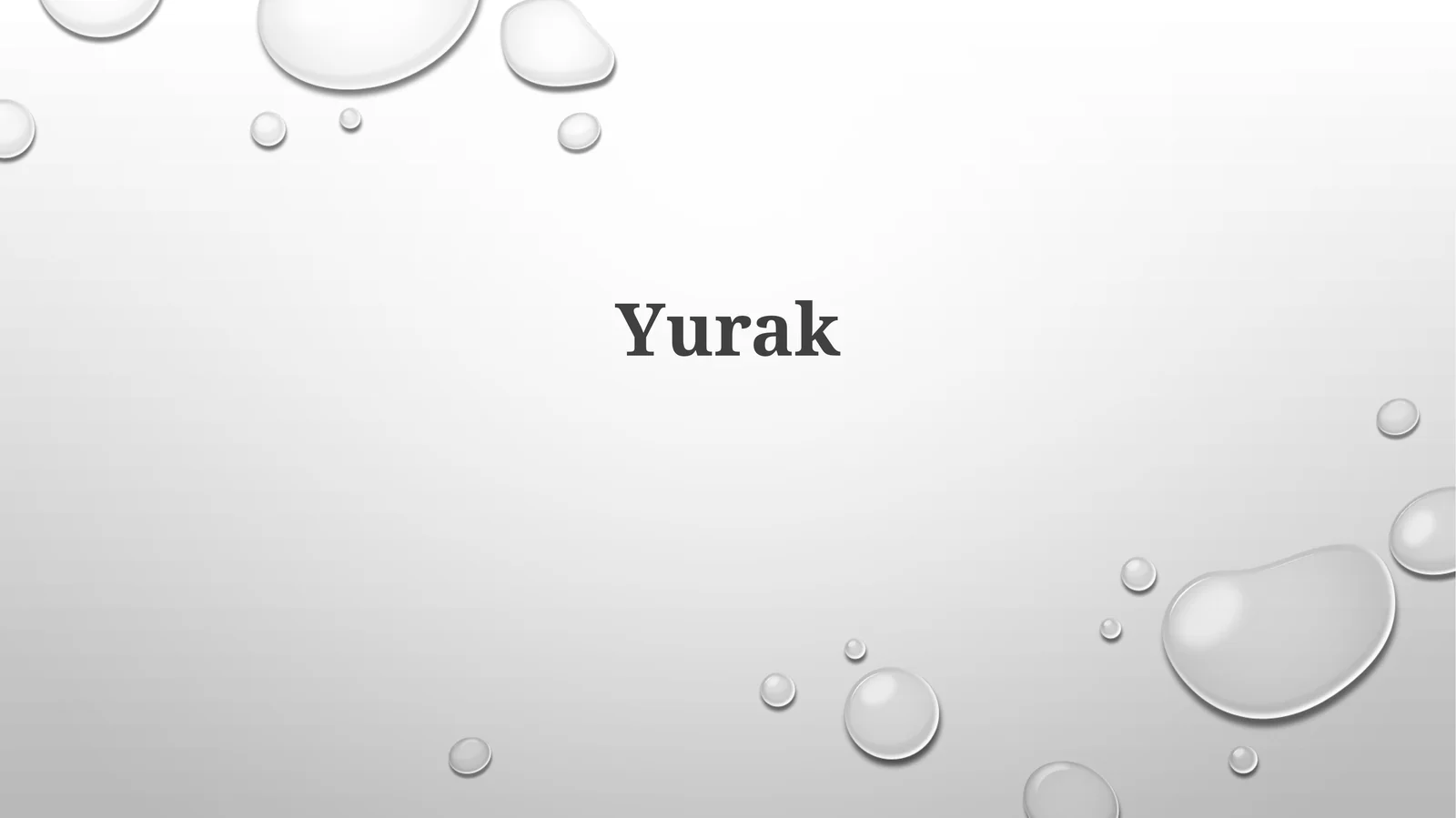 Yurak