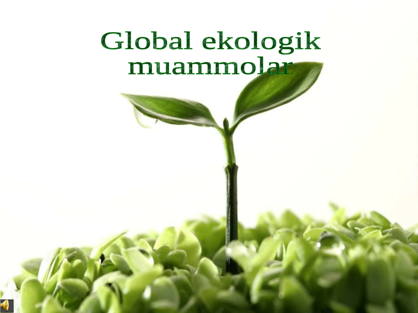 Global Ekologik Muammolar