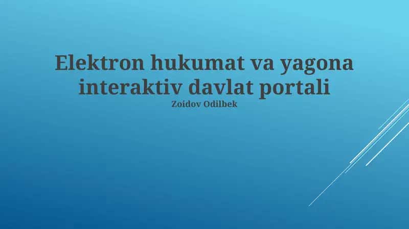 E-hukumat va yagona interaktiv davlat portali