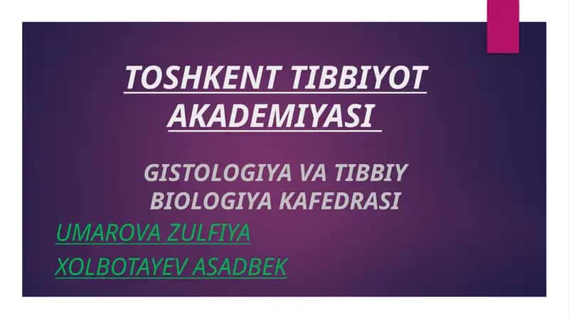 Limfa tugunlari