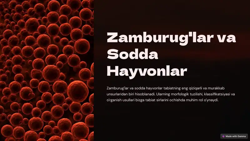 Zamburug'lar va Sodda Hayvonlar