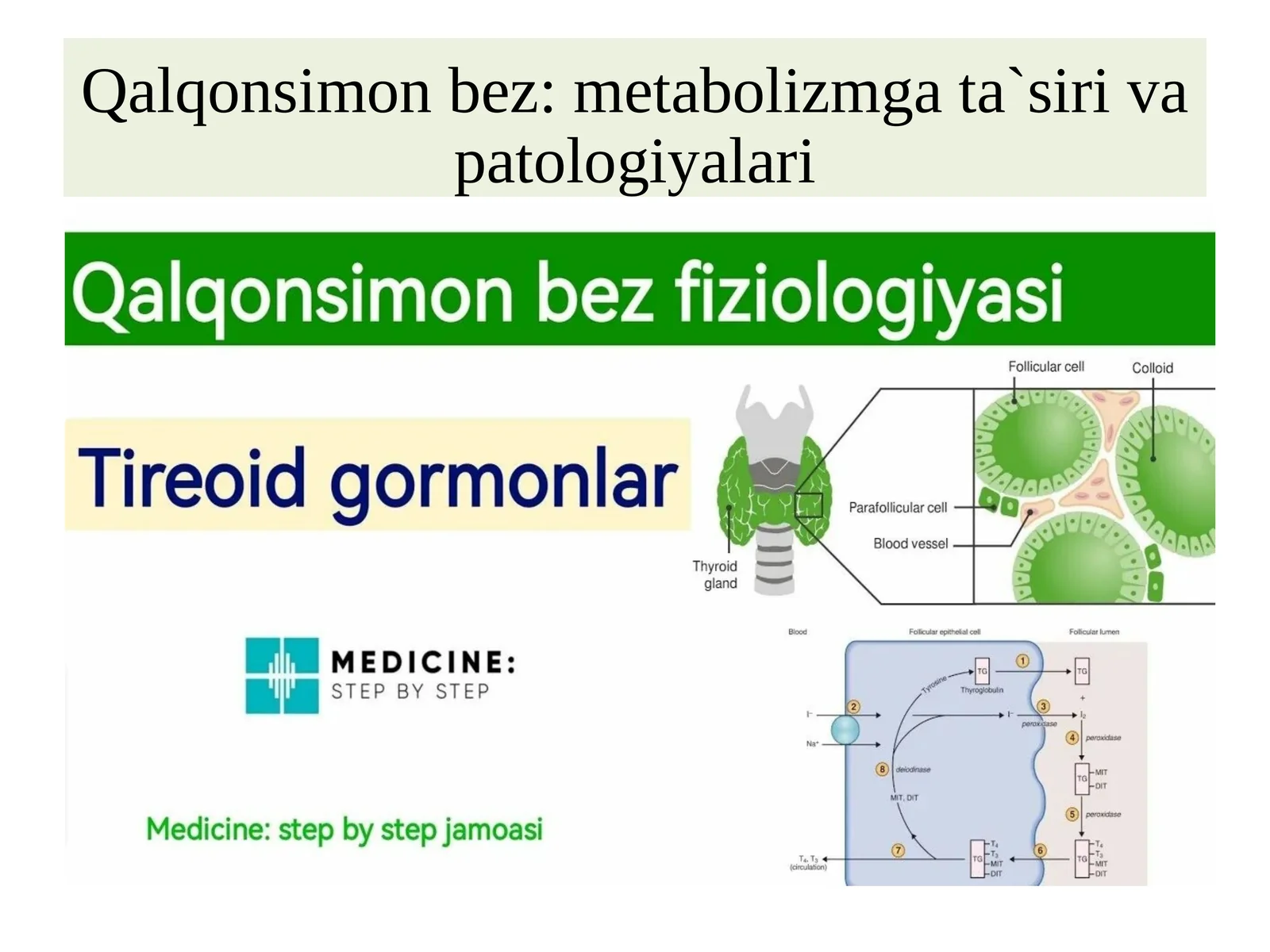 Qalqonsimonbez:metabolizmgata`sirivapatologiyalari