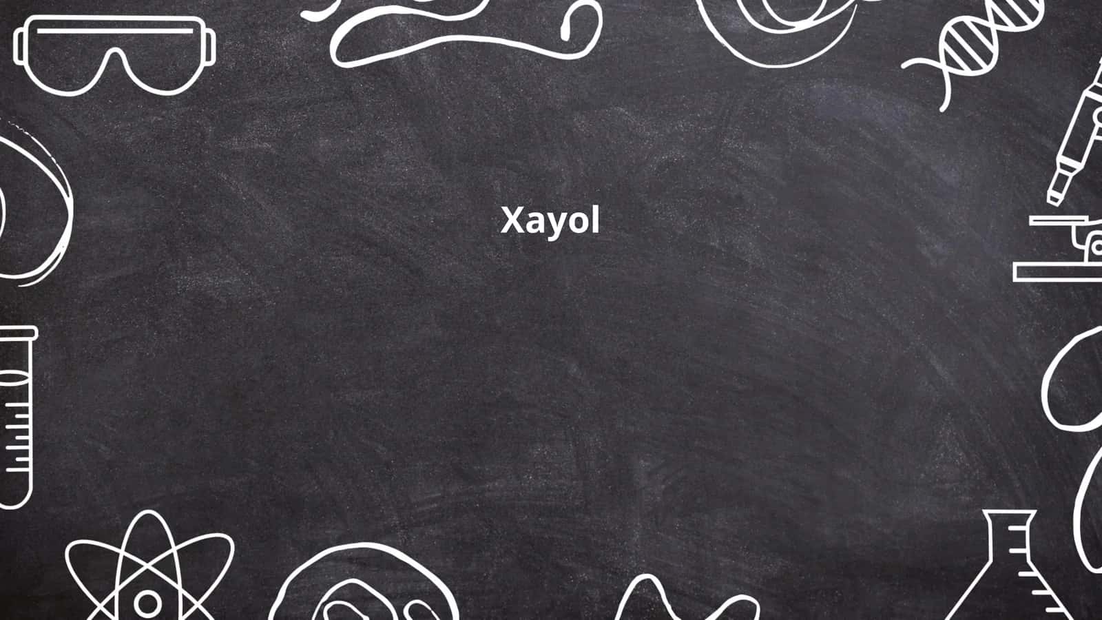 Xayol
