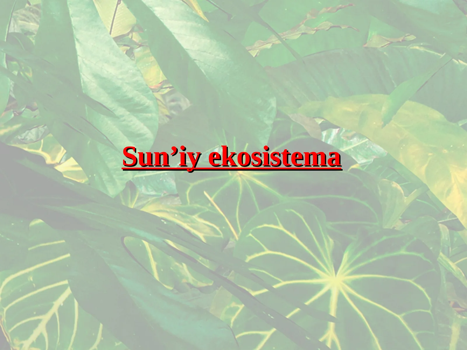 Sun’iy ekosistema