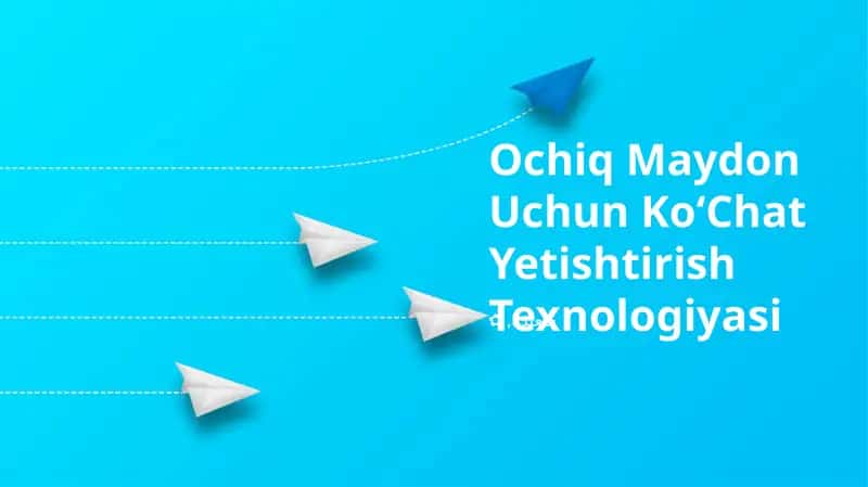 Ochiq Maydon Uchun KoʻChat Yetishtirish Texnologiyasi