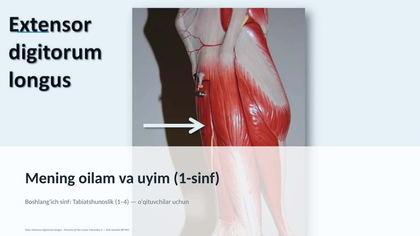 Mening oilam va uyim (1-sinf)