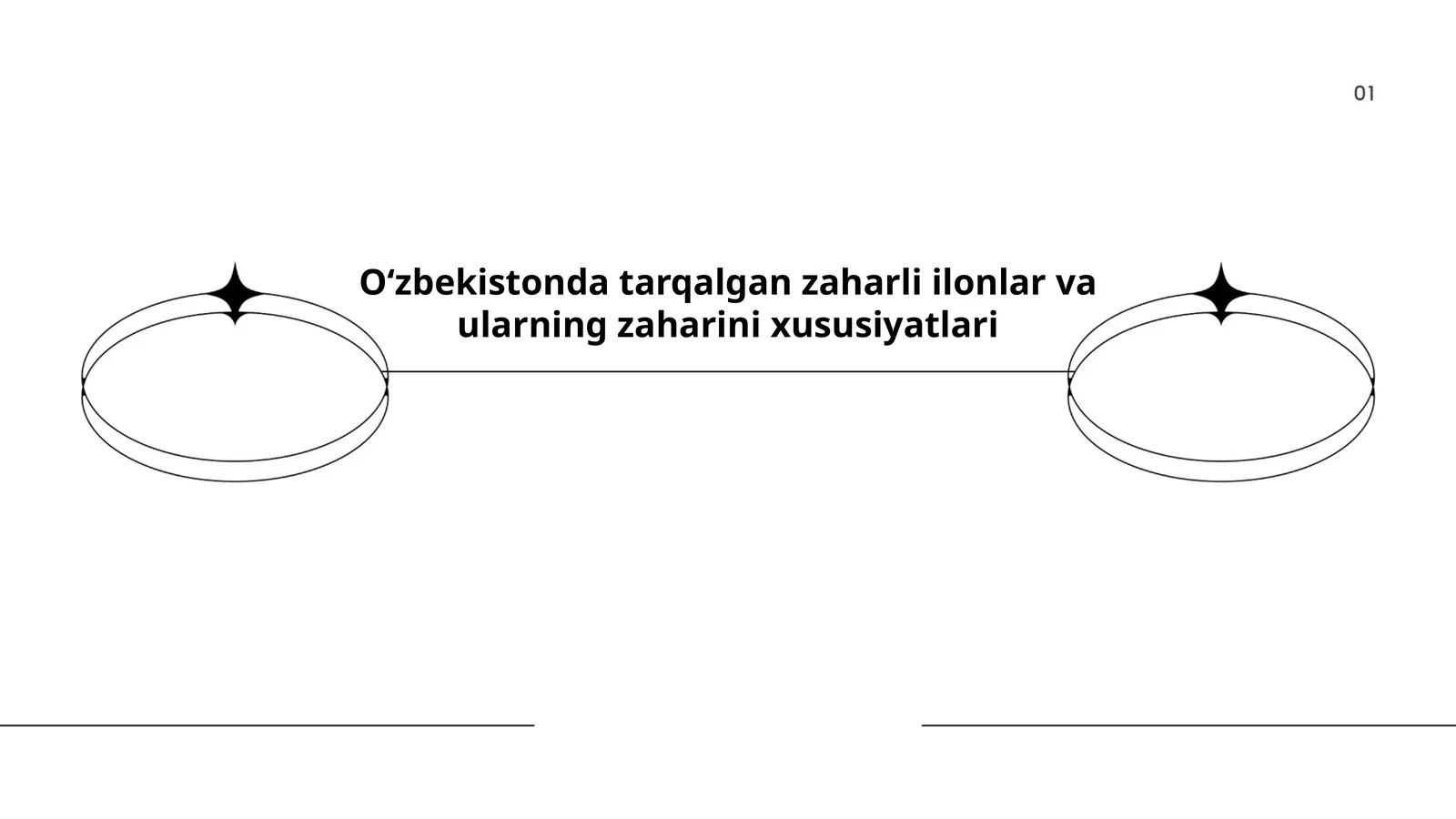 Zaharli ilonlar va ularning xususiyatlari