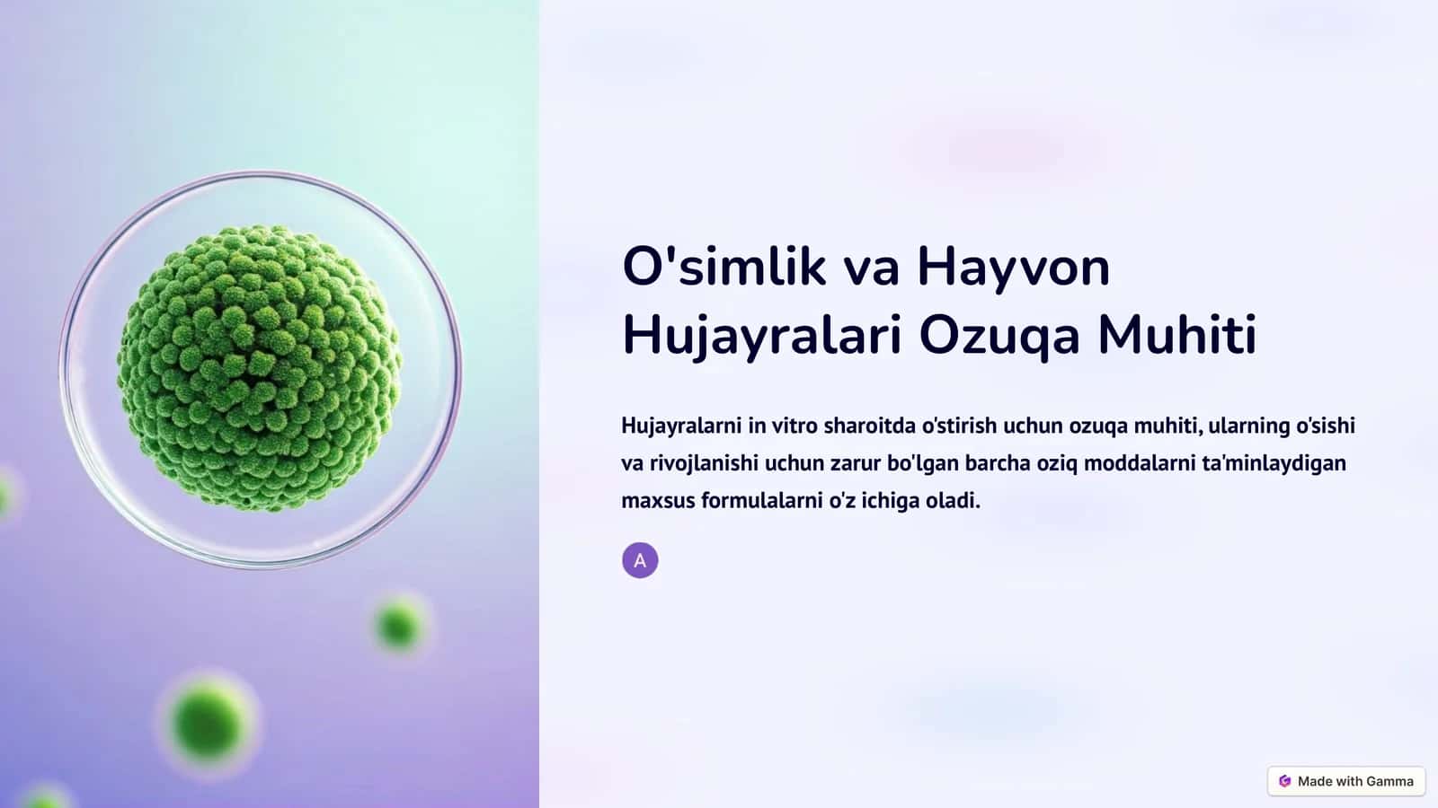 O'simlikva hayvon hujayralari uchun ozuqa muhitlari