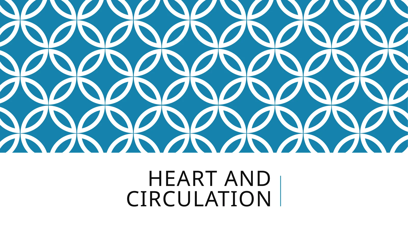 Heart and circulation