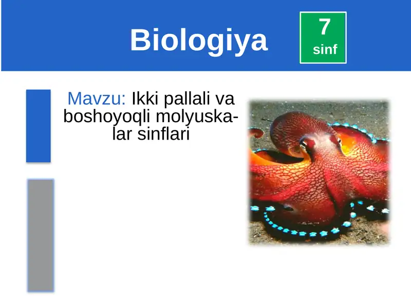 Ikki pallali va boshoyoqli molyuska-larsinflari