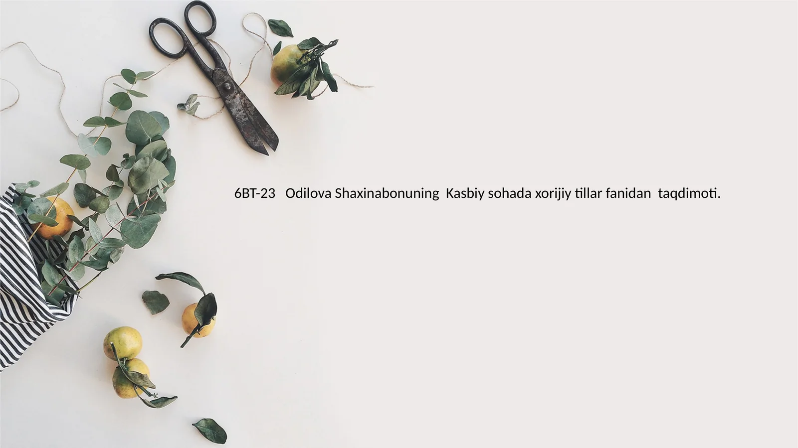 Odilova Shaxinabonuning Kasbiy sohada xorijiy tillar fanidan taqdimoti