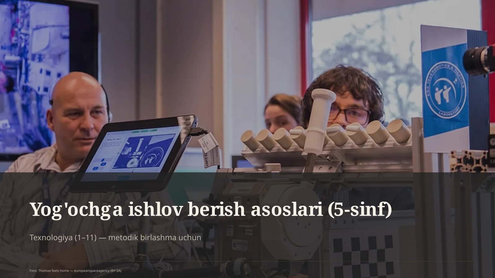 Yog'ochga ishlov berish asoslari (5-sinf)