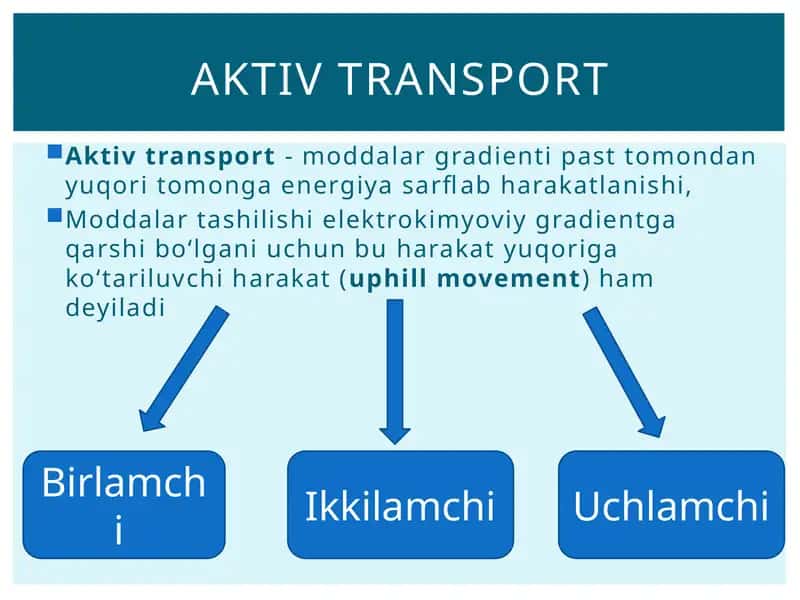 Aktivtransport moddalari