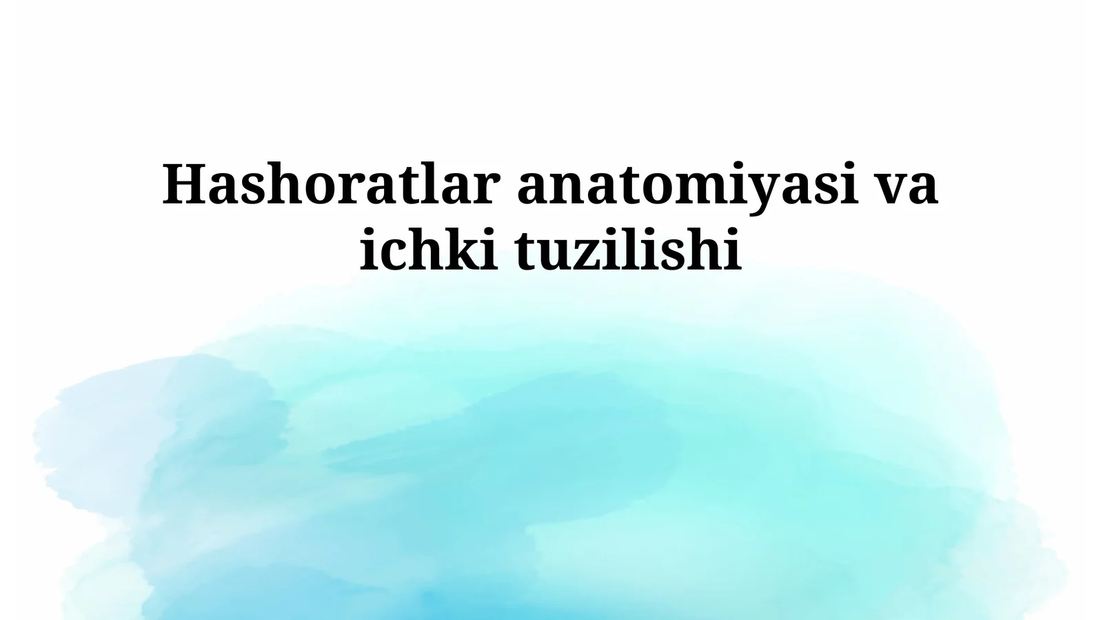 Hashoratlar anatomiyasi va ichki tuzilishi