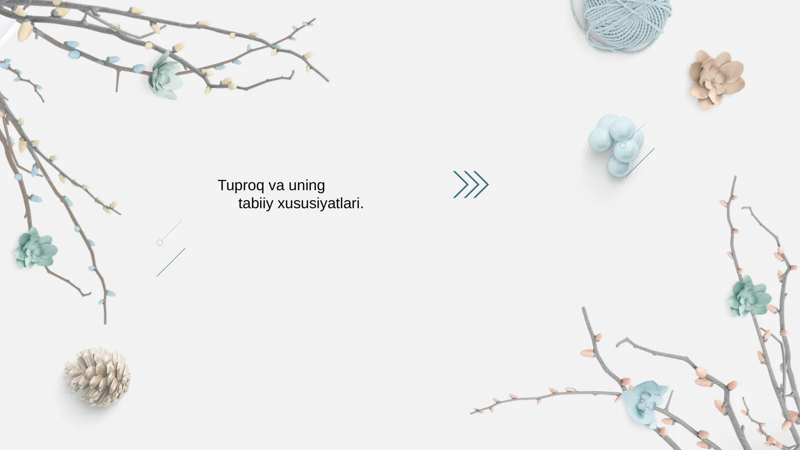 Tuproq va uning tabiiy xususiyatlari