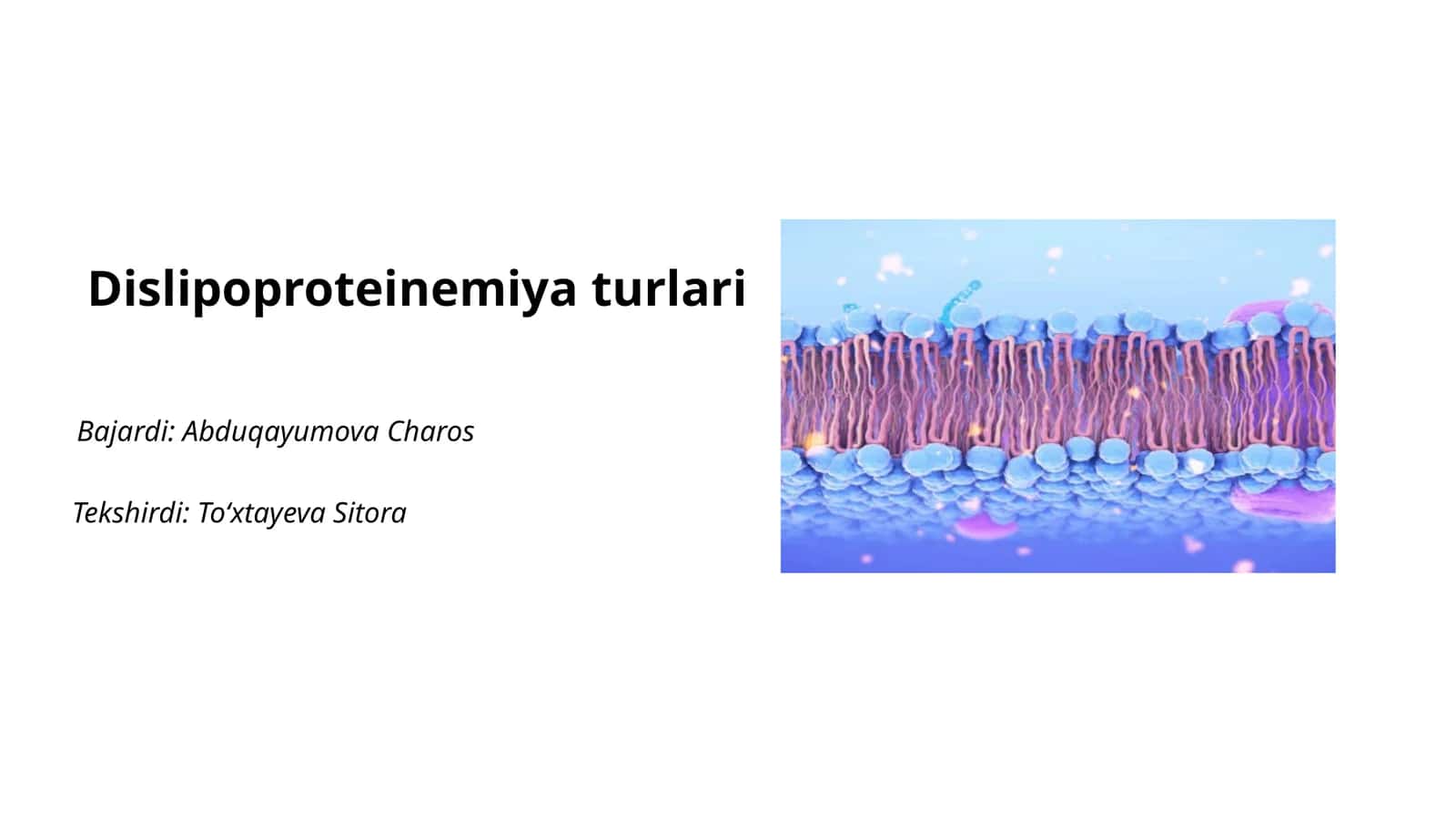 Dislipoproteinemiya turlari