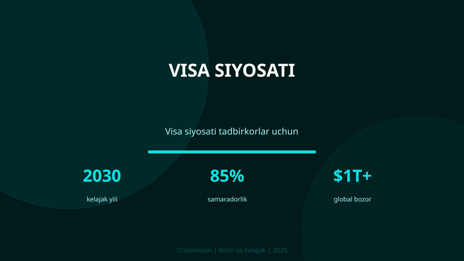 VISA SIYOSATI