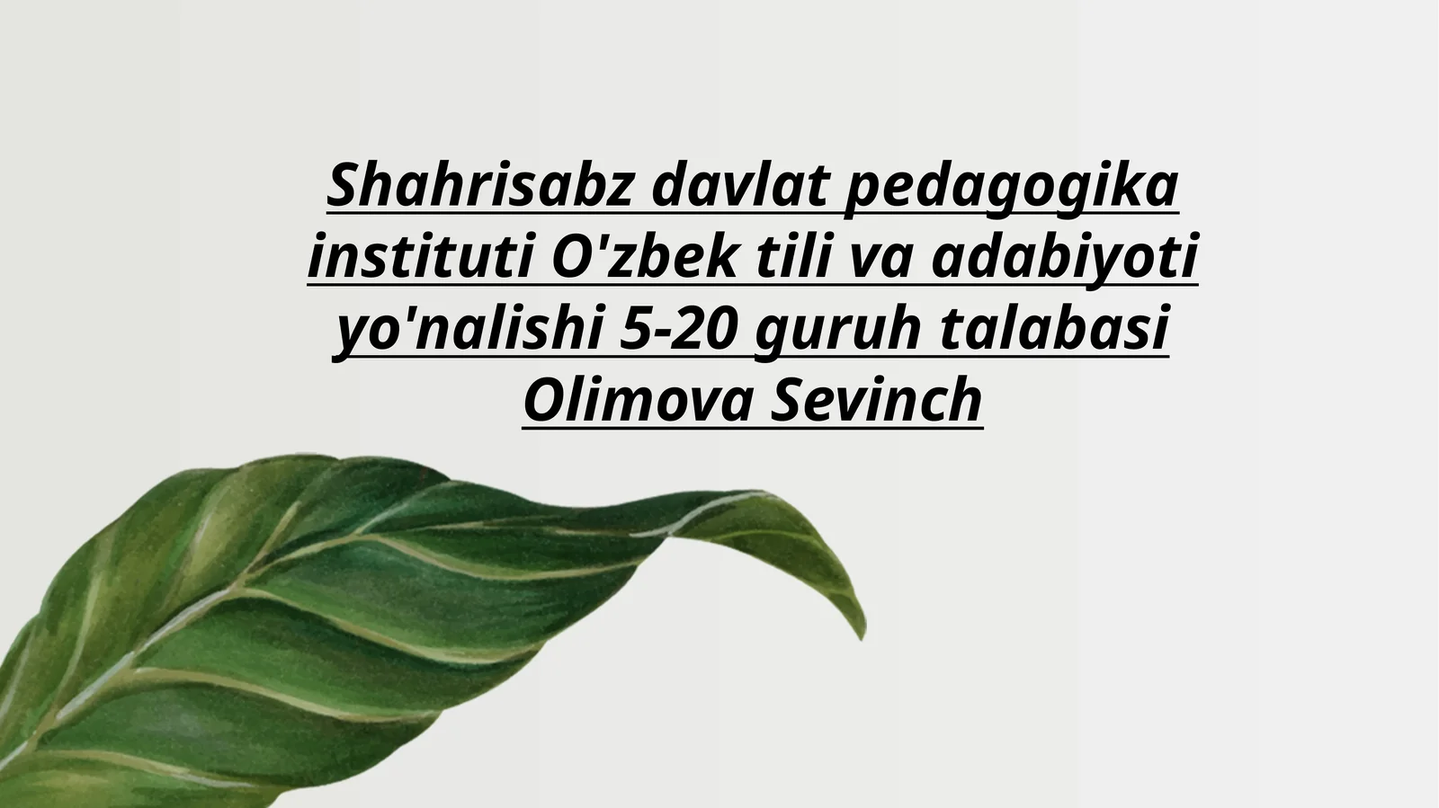 Lison ut-tayr