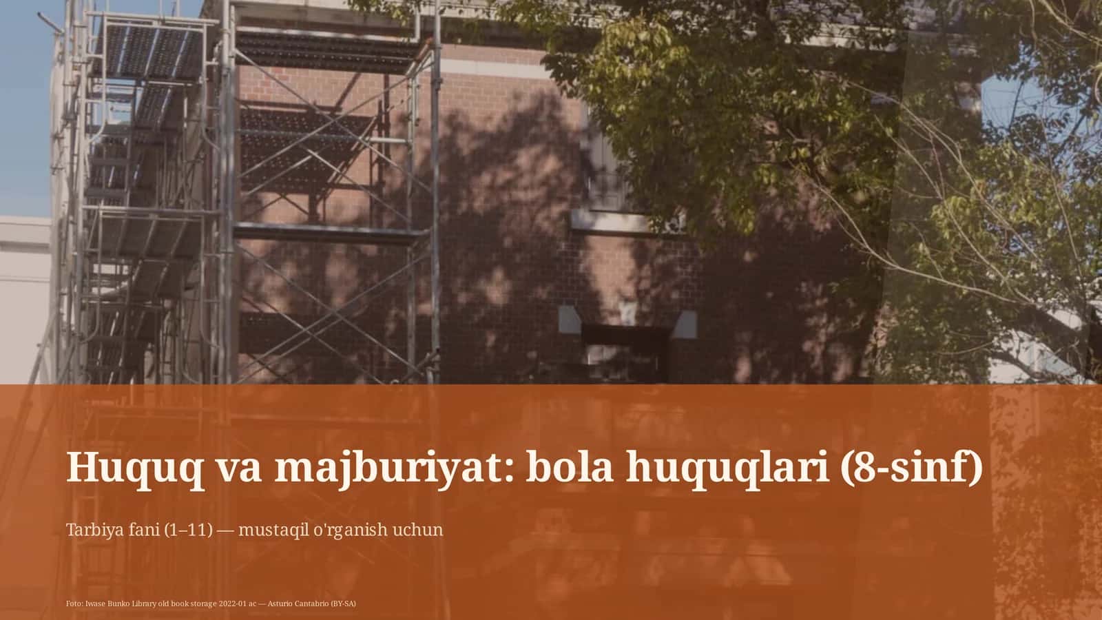 Huquq va majburiyat: bola huquqlari (8-sinf)