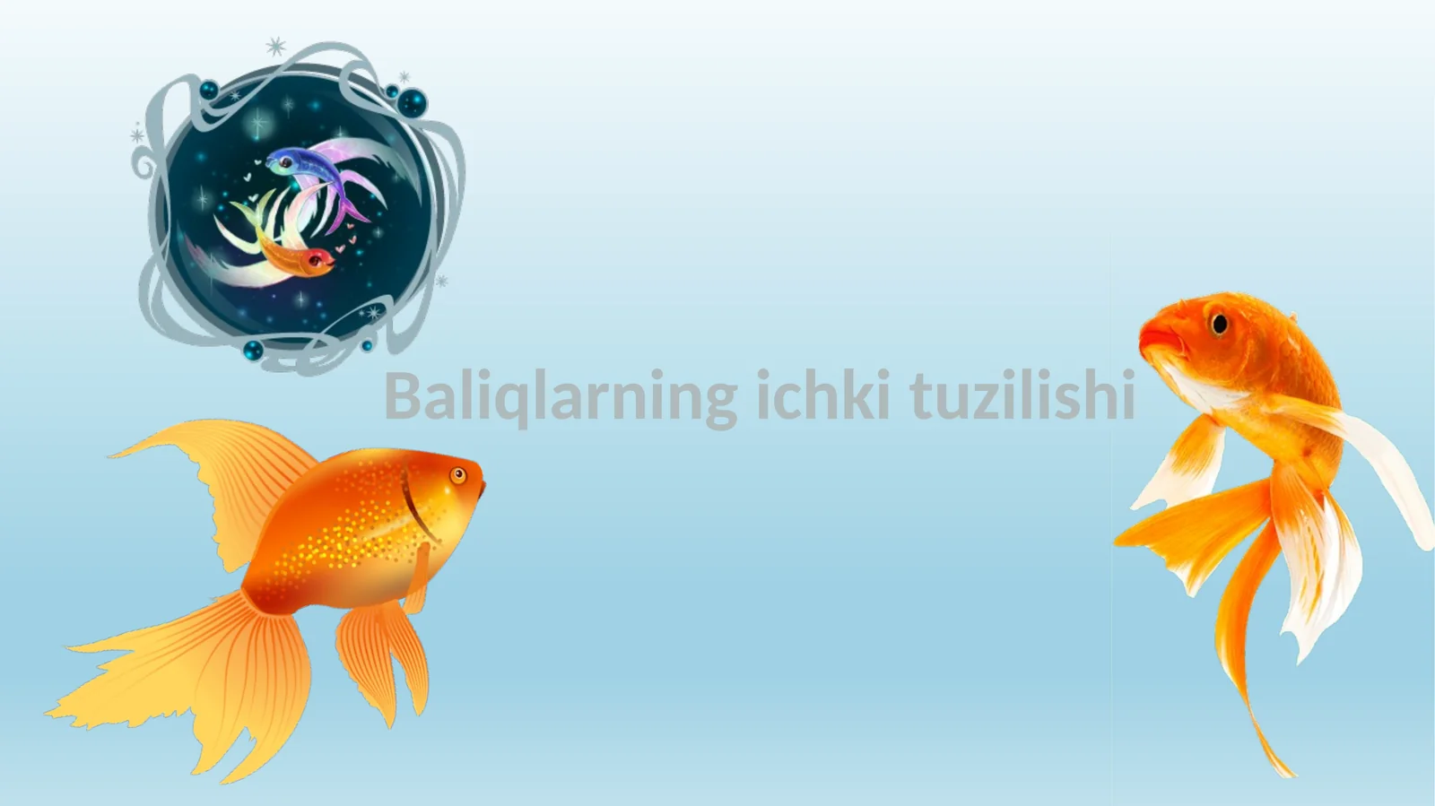 Baliqlarning ichki tuzilishi