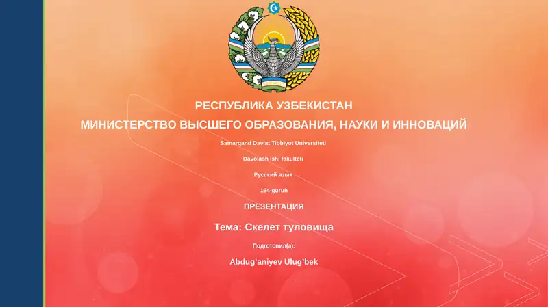 Презентация "Скелет туловища"