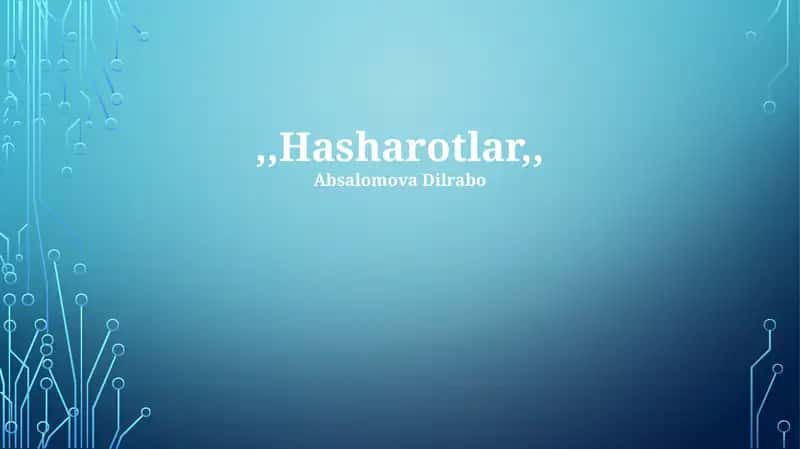 Hasharotlar