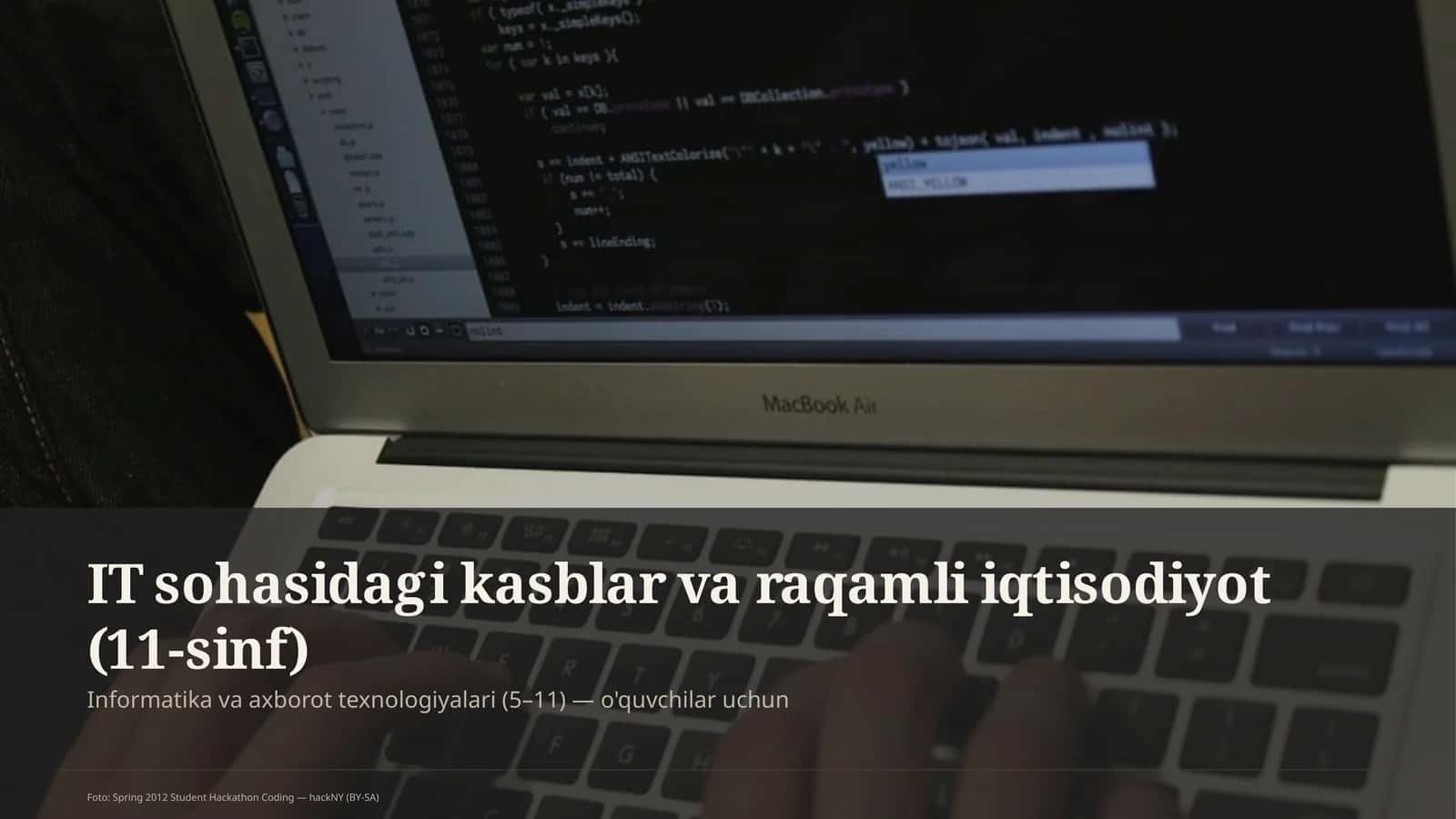IT sohasidagi kasblar va raqamli iqtisodiyot (11-sinf)