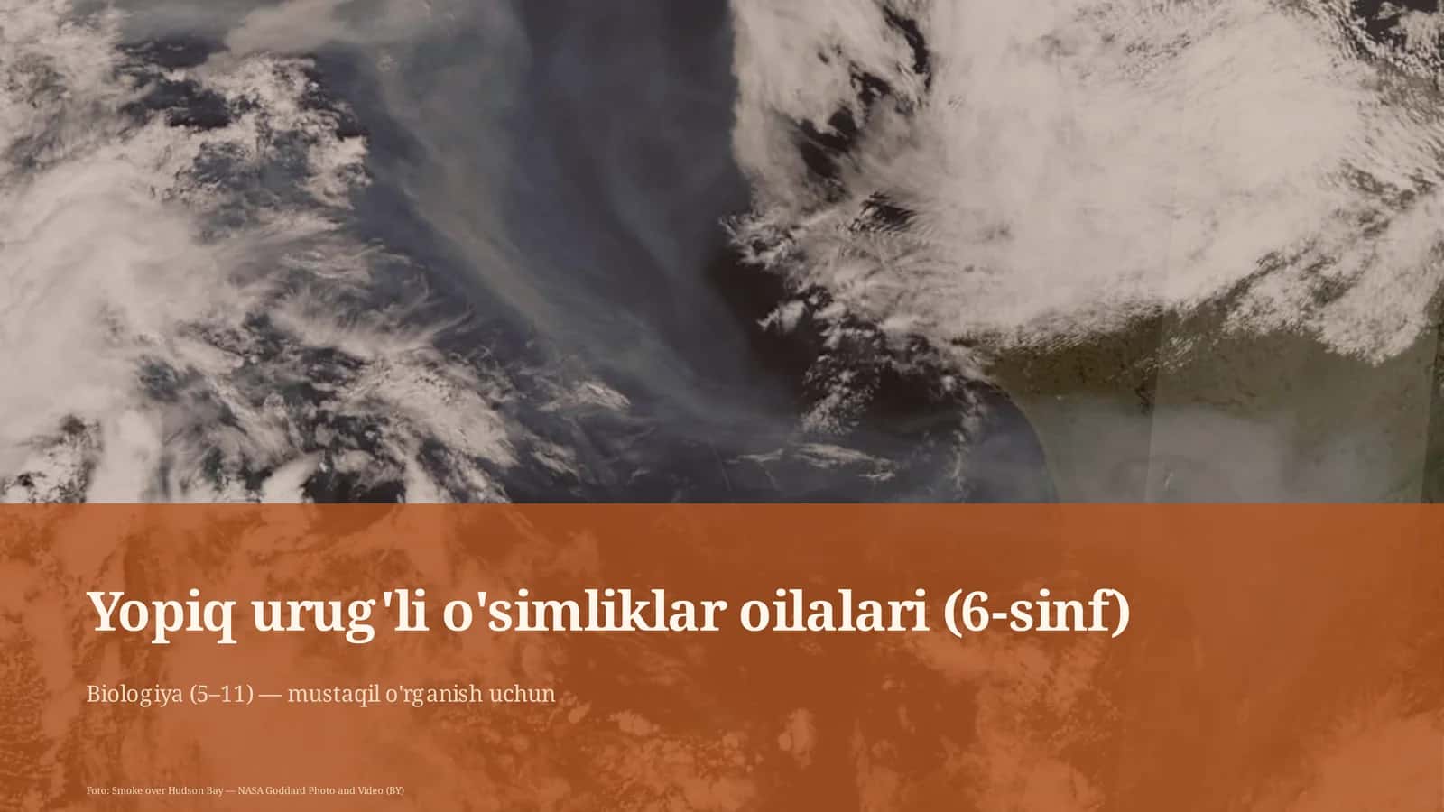 Yopiq urug'li o'simliklar oilalari (6-sinf)