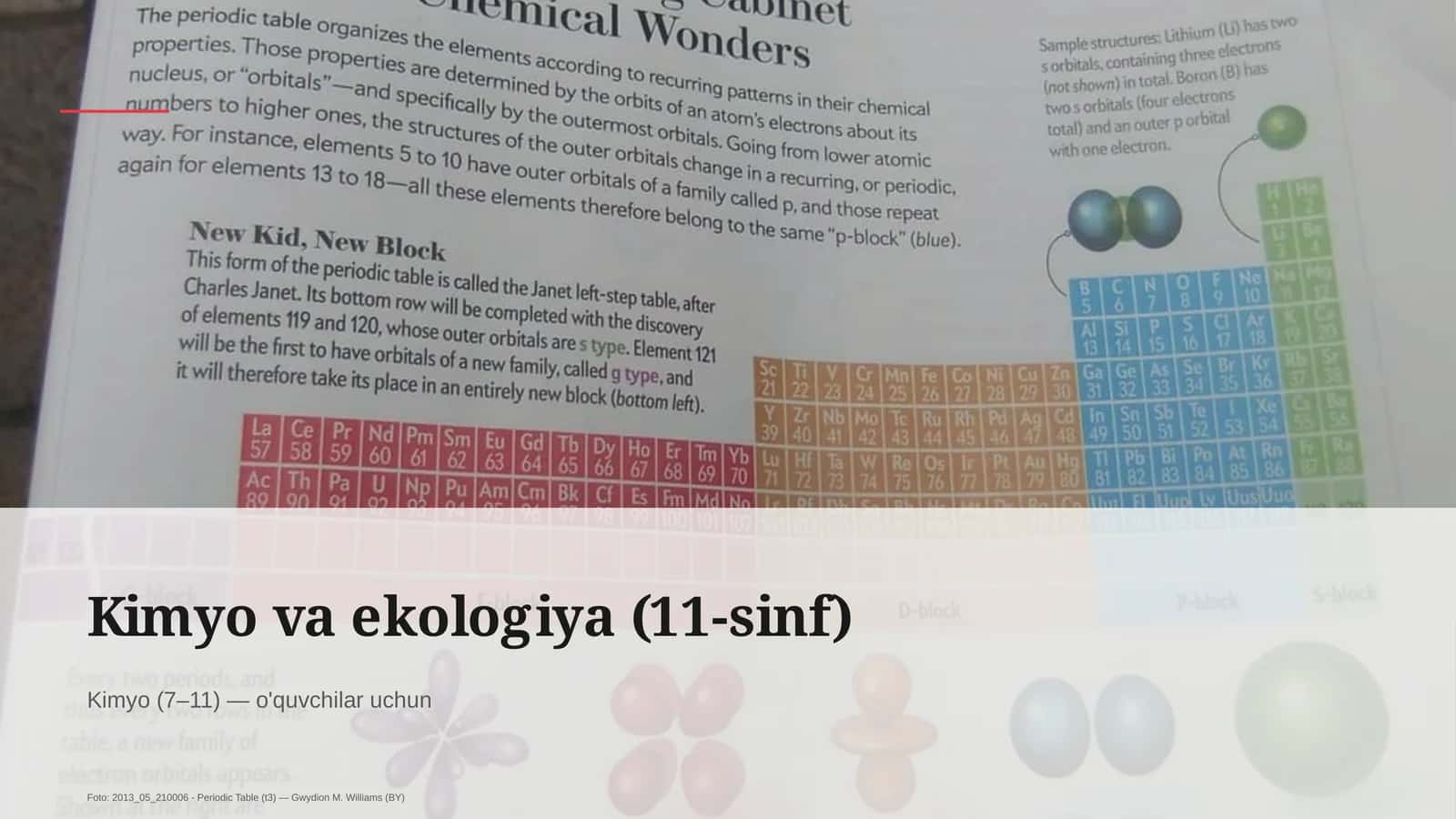Kimyo va ekologiya (11-sinf)