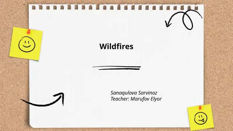 Wildfires
