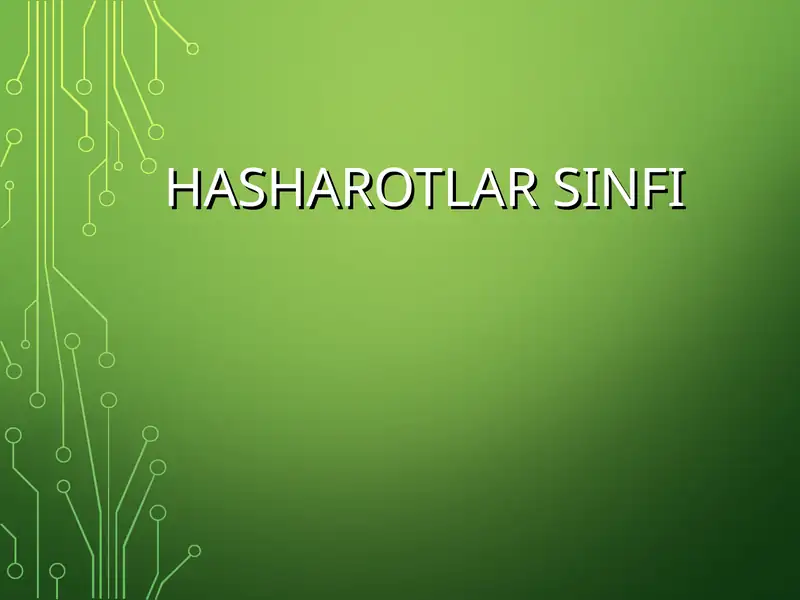 Hasharotlar Sinfi