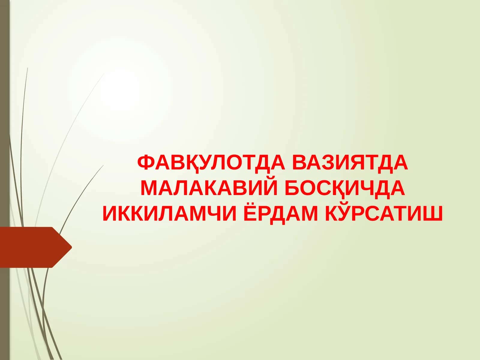 Иккиламчи реанимация