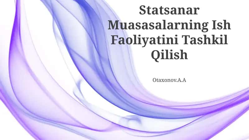 Statsanar Muasasalarning Ish Faoliyatini Tashkil Qilish