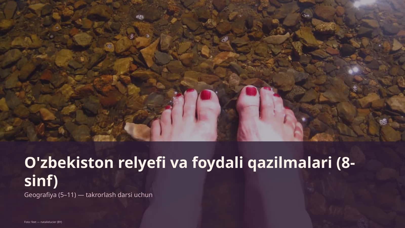 O'zbekiston relyefi va foydali qazilmalari (8-sinf)
